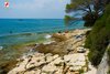 Spiagge selvagge del capo Montauro a Rovigno