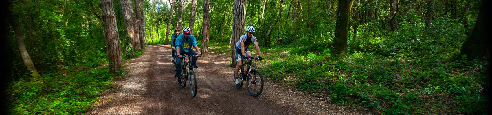 Route der Heiligen Euphemia - Rovinj Bike Experience