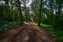 Rovinj Goldenes Kap und Waldpark Škaraba