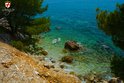 Rovinj plaža Zlatni rt